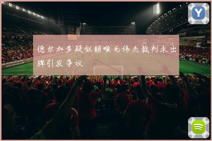 德尔加多疑似锁喉毛伟杰裁判未出牌引发争议